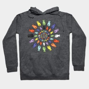 Many Circles of Rainbow Cats Hoodie